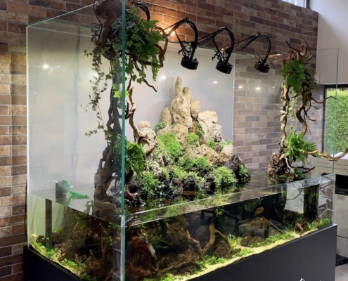 paludarium XXL
