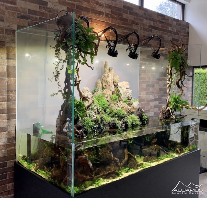 paludarium XXL