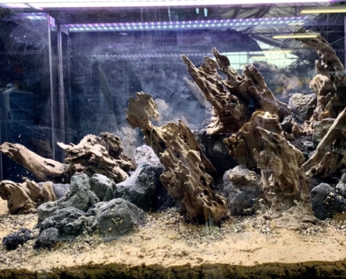 Les-serres-du-manoir-road show eheim