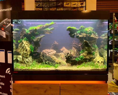 Botanic-Orleans-road show