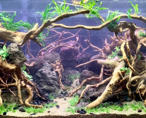 Leclerc-Vitry-le-Francois-road show