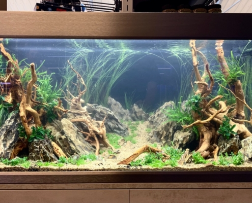 Truffaut-Le-Mans-road show