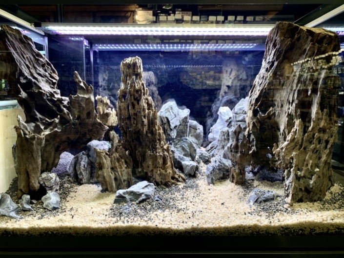 Botanic-Rueil-Malmaison-aquarium
