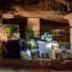 aquascaping art exposition