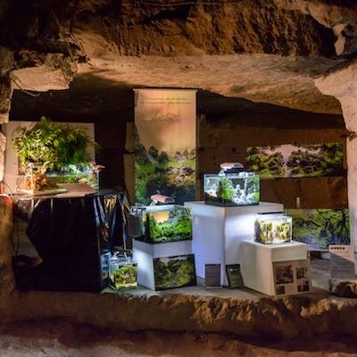 aquascaping art exposition