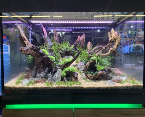 Salon-Truffaut-Liesses-6