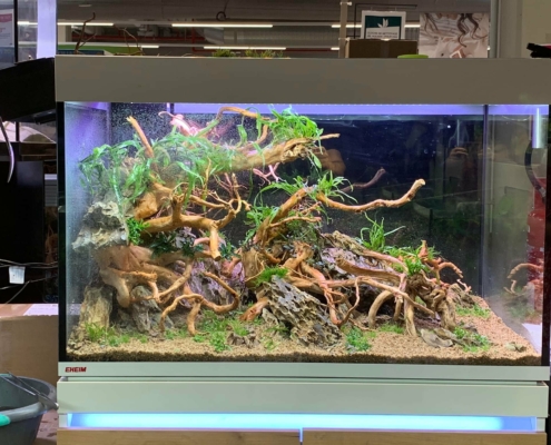 Truffaut Bry-sur-Marne