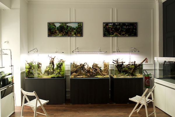 aquarilis paris showroom