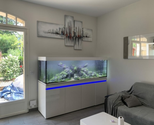 Incpiria-630-eheim-installation