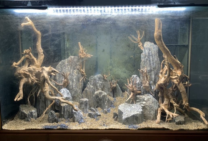 aqua-bar-aquascaping1