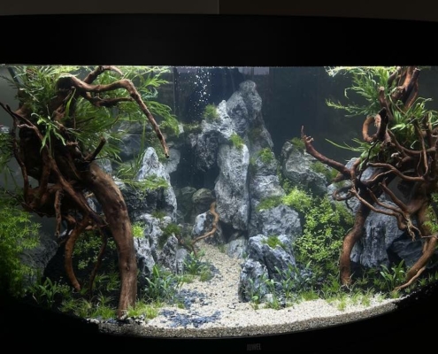 aquarium-angle-aquascaping