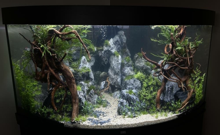 aquarium-angle-aquascaping