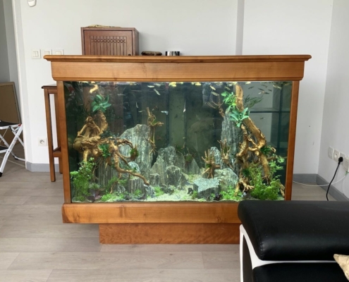 aquarium-bar