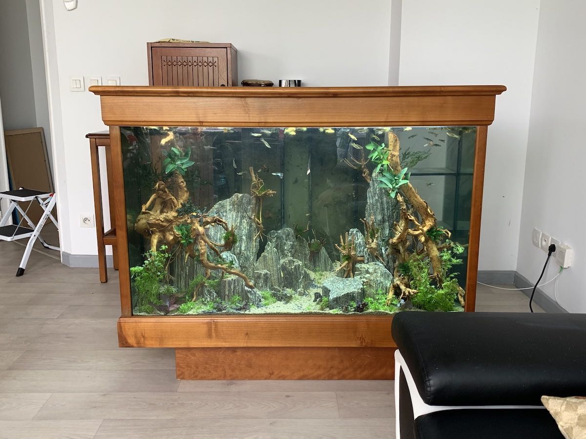 aquarium-bar