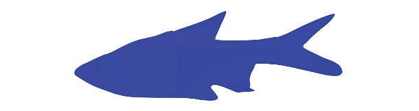 avatar poisson