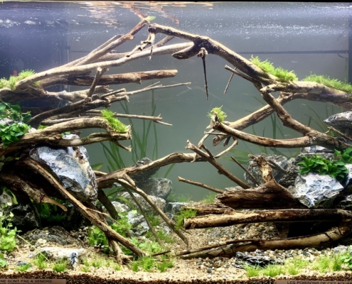 truffaut-rosny-sous-bois