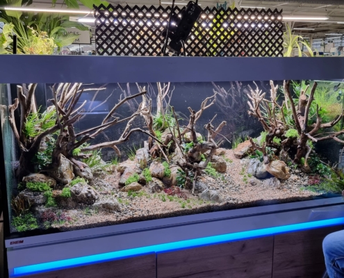 truffaut ville du bois aquarium