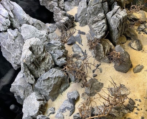 choix hardscape
