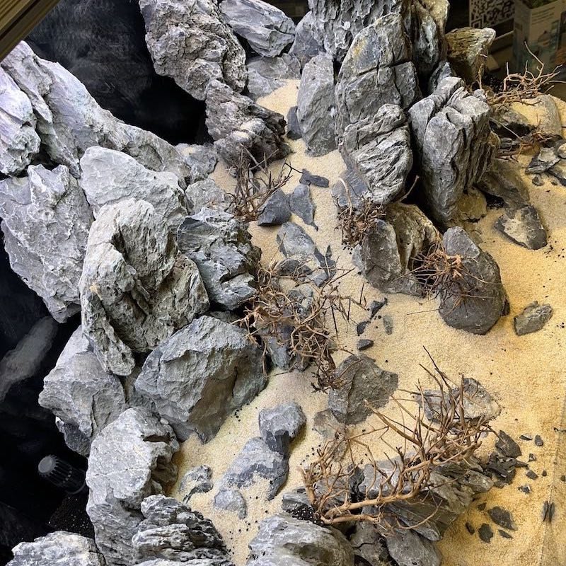 choix hardscape