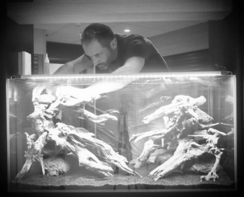 laurent garcia aquarilis laurent garcia aquarilis