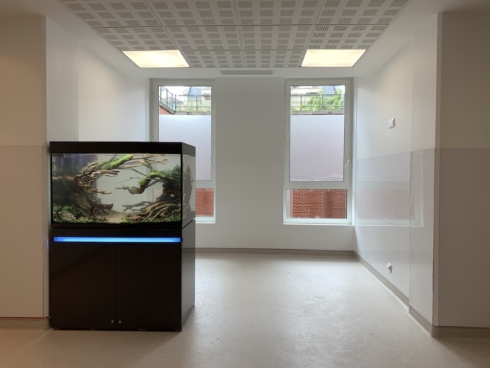 Incpiria aquarium hopital