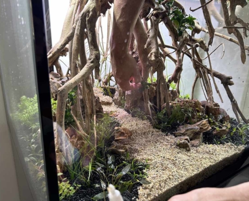 aquarium cube 230 eheim