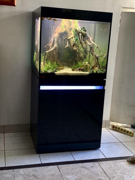 aquarium cube eheim uvs