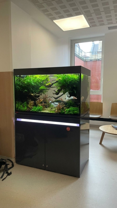 aquarium hopital st joseph