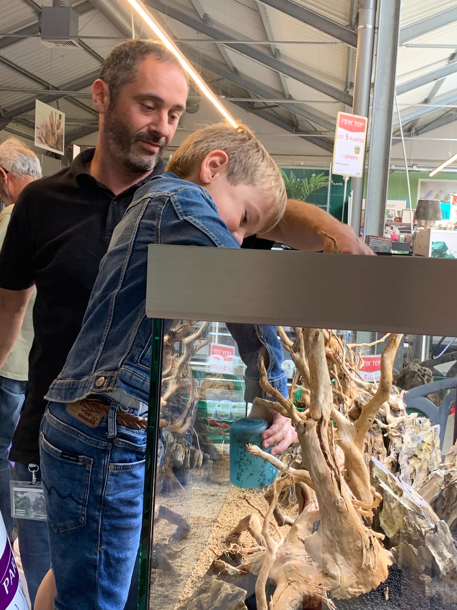 décorer son aquarium