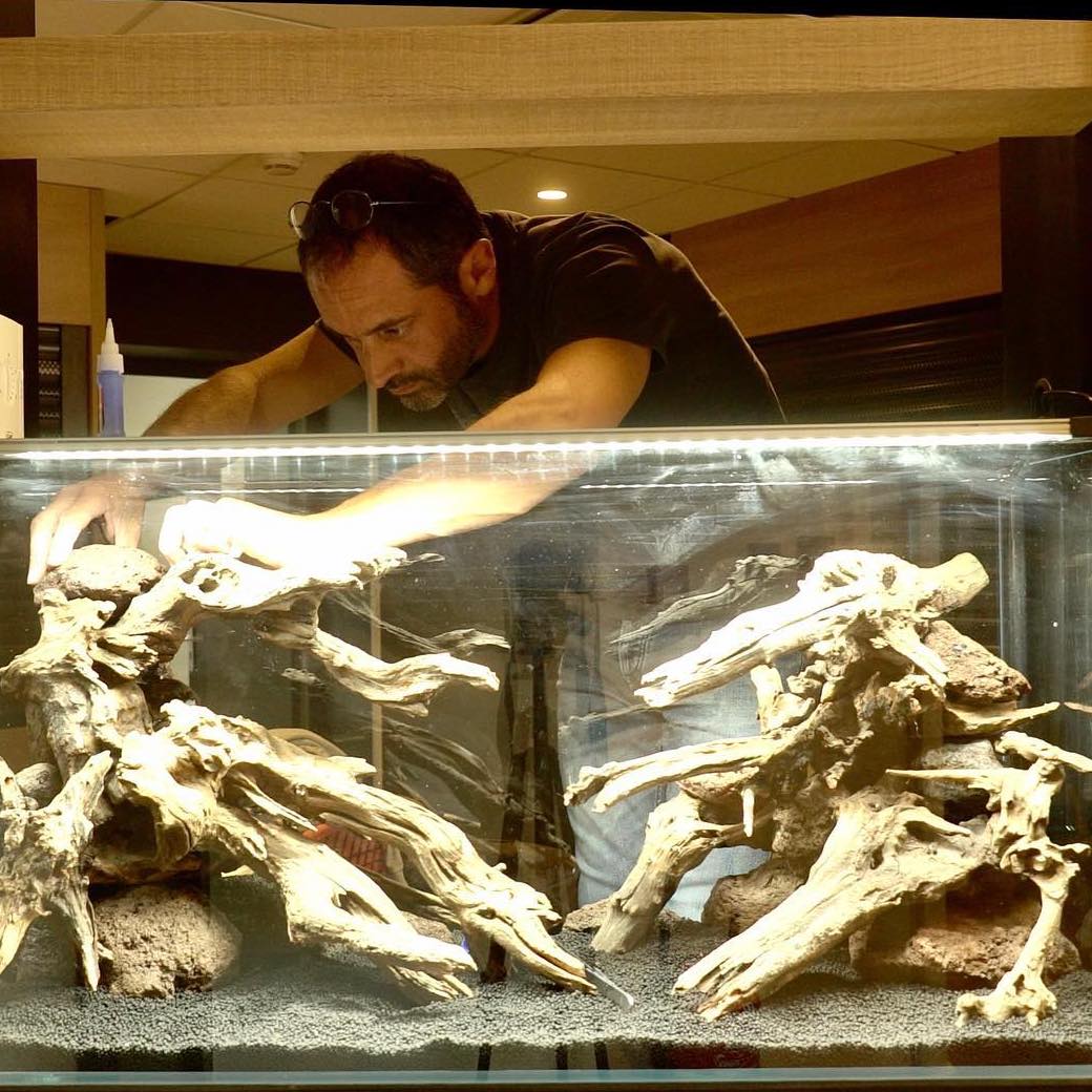 choisir son décor d'aquarium