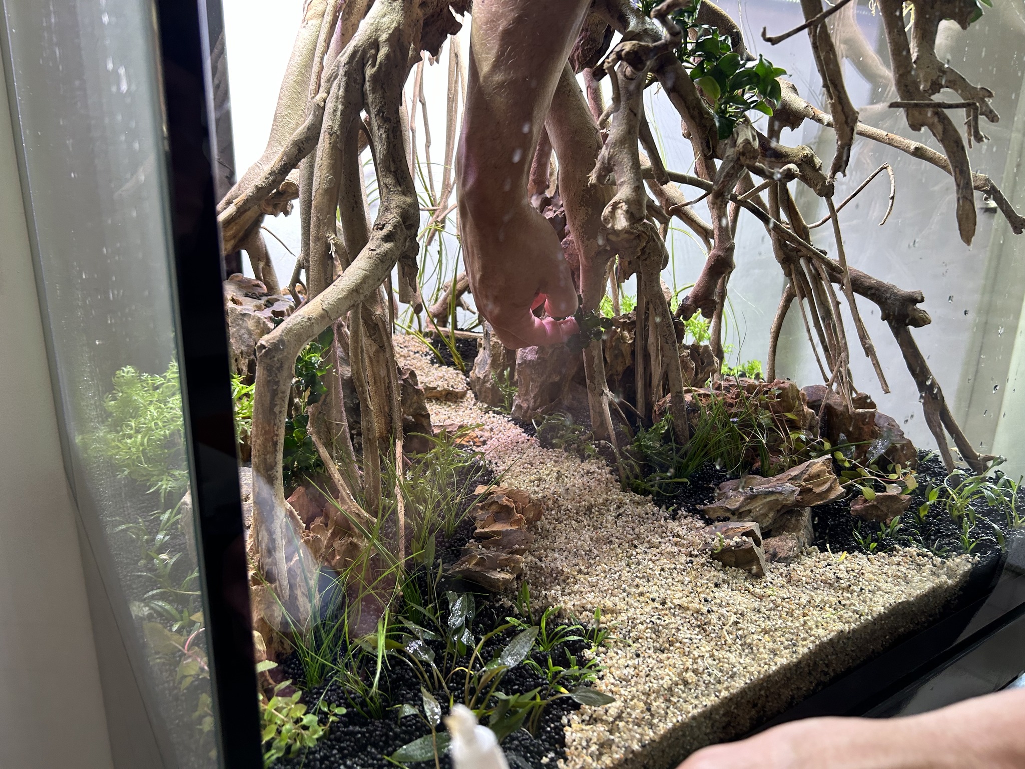 décorer son aquarium