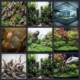 choix decor aquarium projet