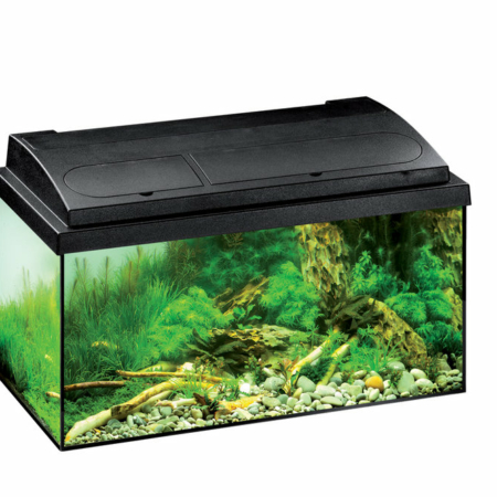EHEIM aquastar 54 LED