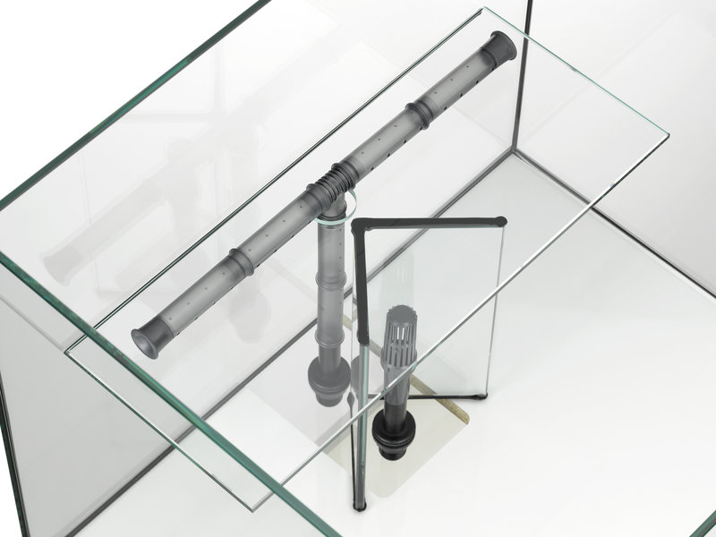 EHEIM proxima fauna – Image 4