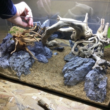 formation en aquascaping