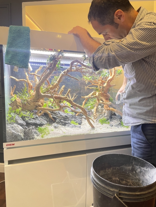 animation daphnee laurent