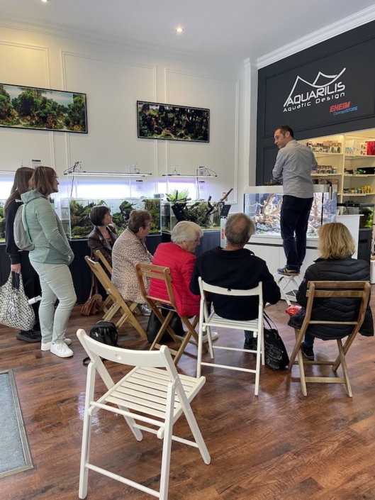 animation daphnee public