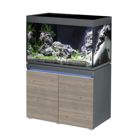 eheim incpiria 330 graphit rustic