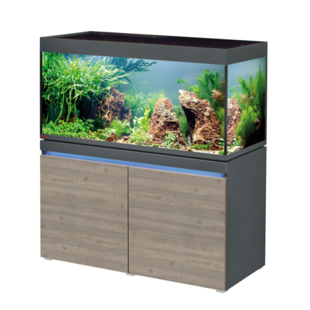 eheim incpiria 430 graphit rustic