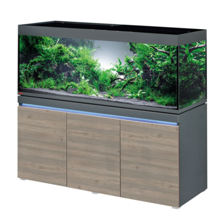 eheim incpiria 530 graphit rustic