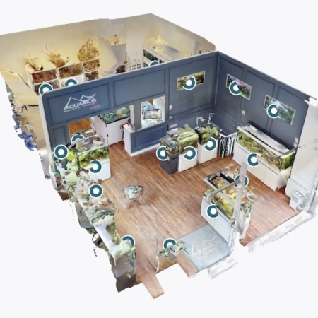 showroom virtuel aquascaping