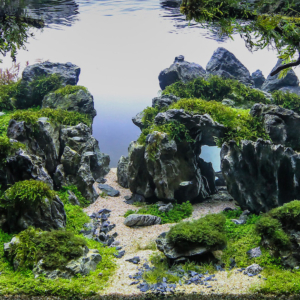 decor aquarium sur mesure