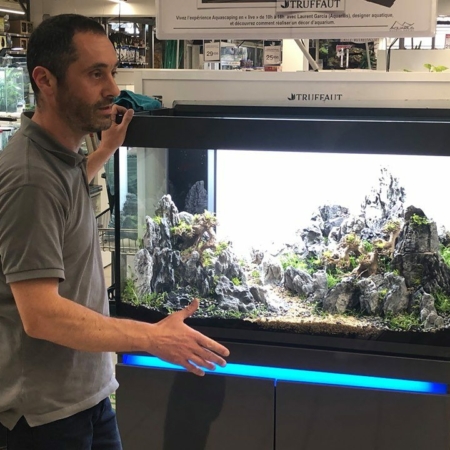 demonstrations aquascaping