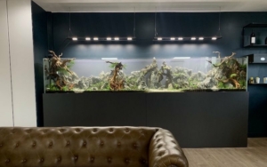 aquariums clients aquarilis aquariums clients aquarilis