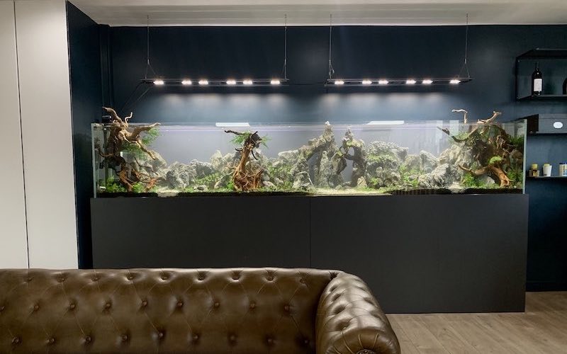 aquariums clients aquarilis