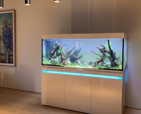 Nature aquarium Brussels 2