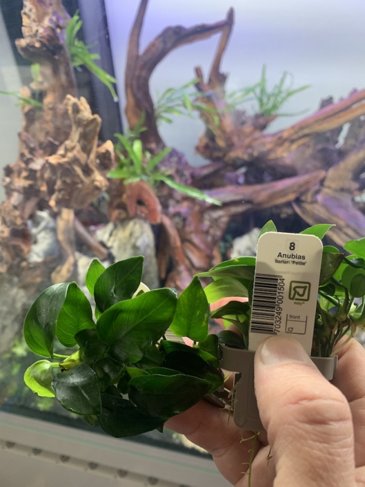 Nature aquarium Brussels 3