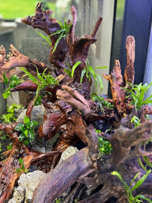 Nature aquarium Brussels