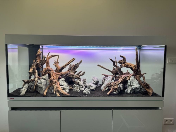 Nature aquarium Bruxelles 3