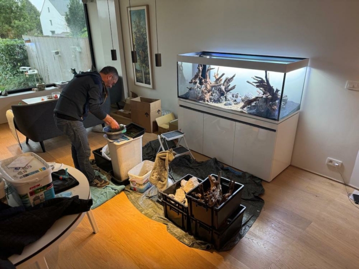 Nature aquarium Bruxelles 4